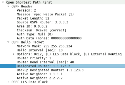 OSPF HELLO